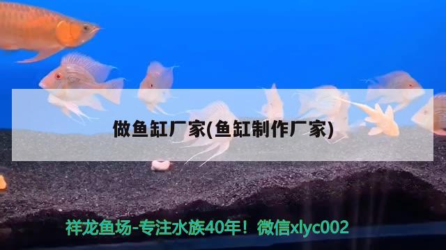 做魚缸廠家(魚缸制作廠家) 南美異形觀賞魚