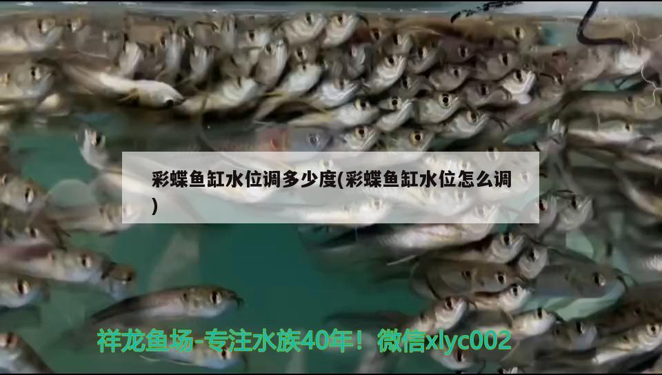 彩蝶魚缸水位調(diào)多少度(彩蝶魚缸水位怎么調(diào))