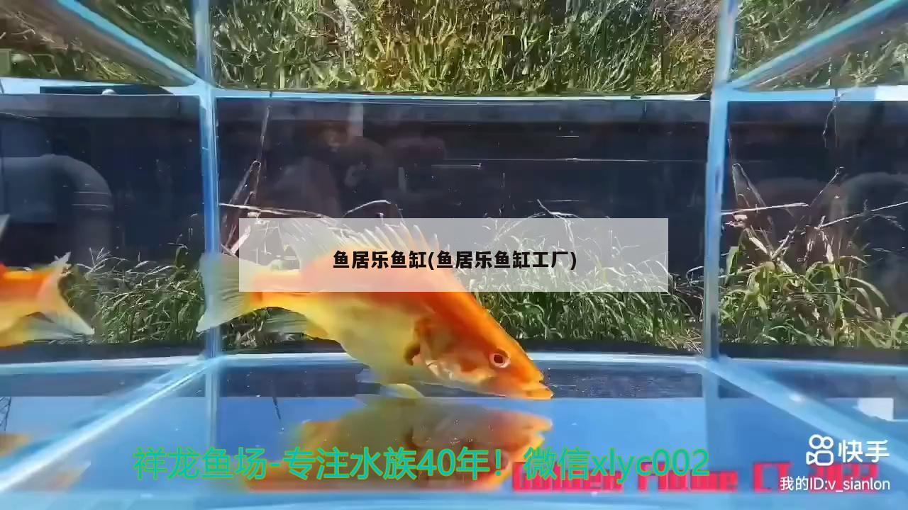 魚居樂魚缸(魚居樂魚缸工廠)