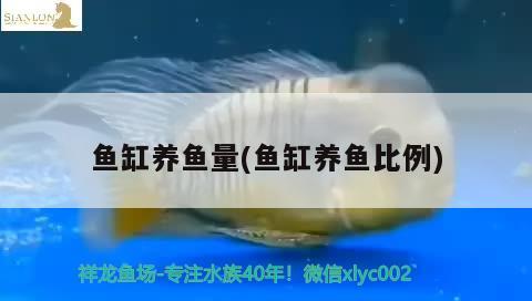 魚缸上的彩燈有什么用處(魚缸內(nèi)的燈有什么用) 白化火箭