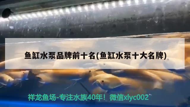 魚缸水泵品牌前十名(魚缸水泵十大名牌)