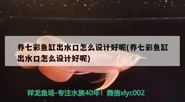 養(yǎng)七彩魚缸出水口怎么設計好呢(養(yǎng)七彩魚缸出水口怎么設計好呢)