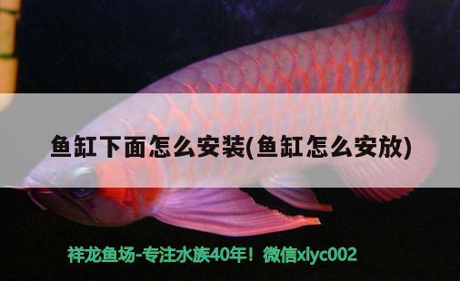 魚缸下面怎么安裝(魚缸怎么安放) BD魟魚