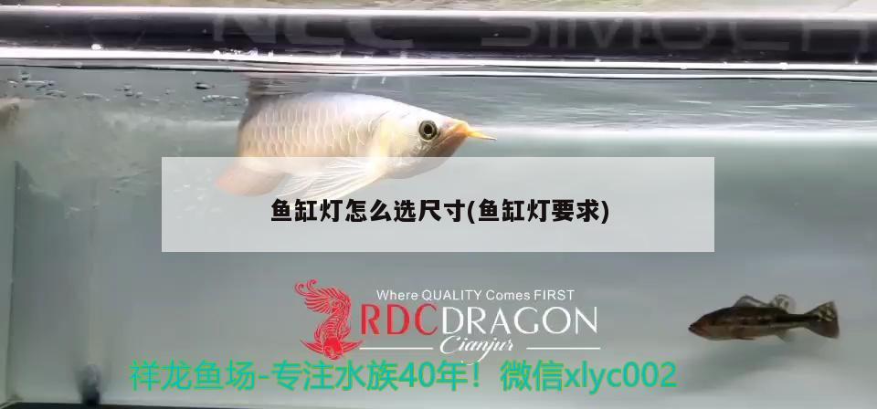 魚缸燈怎么選尺寸(魚缸燈要求)