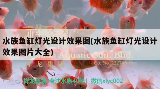 水族魚缸燈光設(shè)計效果圖(水族魚缸燈光設(shè)計效果圖片大全)