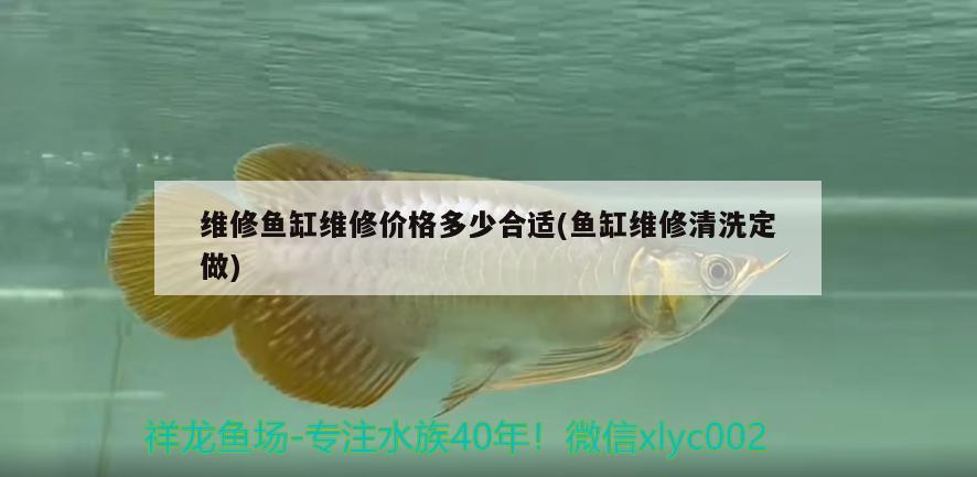 維修魚缸維修價(jià)格多少合適(魚缸維修清洗定做) 錦鯉池魚池建設(shè)