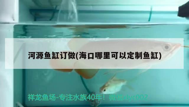 河源魚缸訂做(?？谀睦锟梢远ㄖ启~缸)