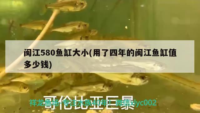 閩江580魚缸大小(用了四年的閩江魚缸值多少錢)