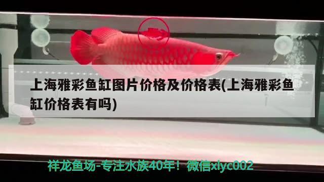 魚缸燈具大全品牌排行(魚缸燈品牌推薦) 廣州龍魚批發(fā)市場