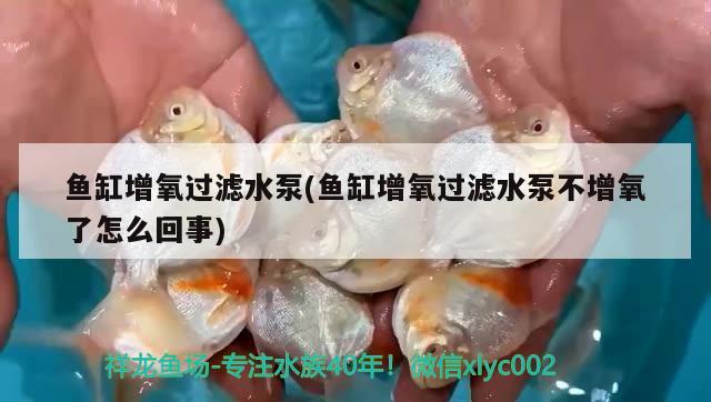 魚(yú)缸增氧過(guò)濾水泵(魚(yú)缸增氧過(guò)濾水泵不增氧了怎么回事)