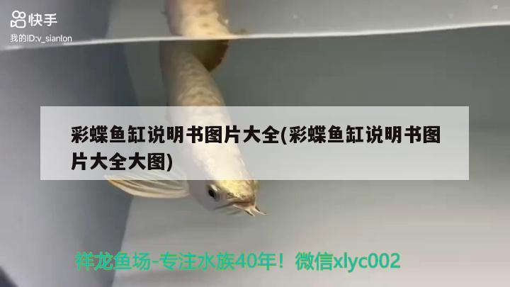 果洛藏族自治州觀賞魚市場沒錯就是這樣過來的