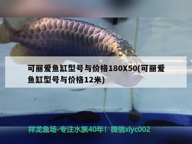 珊瑚缸和哪些魚兼容，熱帶魚什么魚最好養(yǎng)