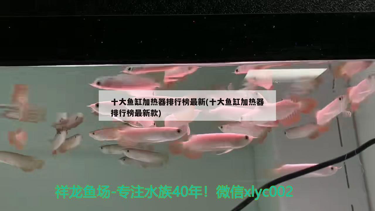 濰坊賣魚缸的地方在哪兒：濰坊賣魚缸的地方在哪兒賣 廣州水族批發(fā)市場 第2張