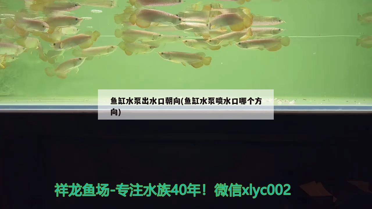 魚缸水泵出水口朝向(魚缸水泵噴水口哪個方向) 魚缸水泵