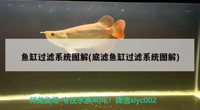 濰坊賣魚缸的地方在哪兒：濰坊賣魚缸的地方在哪兒賣 廣州水族批發(fā)市場 第1張