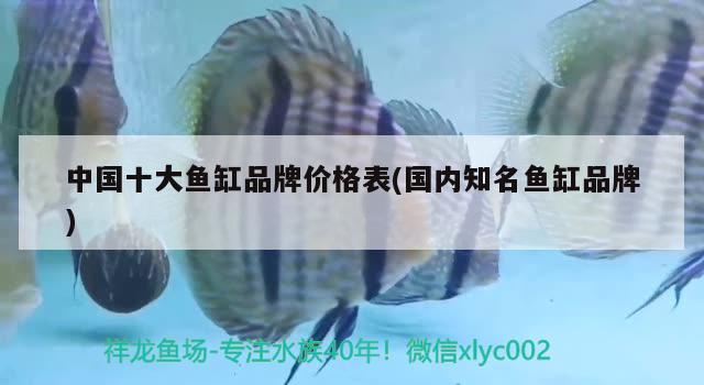 中國十大魚缸品牌價格表(國內知名魚缸品牌) B級過背金龍魚