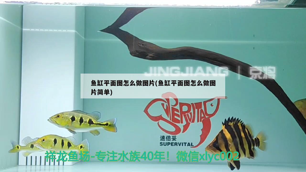 魚(yú)缸平面圖怎么做圖片(魚(yú)缸平面圖怎么做圖片簡(jiǎn)單)