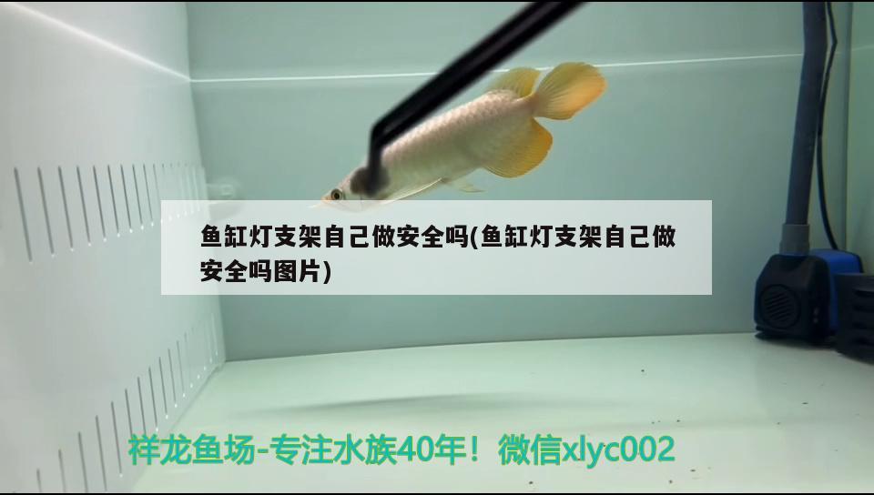 魚缸燈支架自己做安全嗎(魚缸燈支架自己做安全嗎圖片) 觀賞龜/鱉飼料