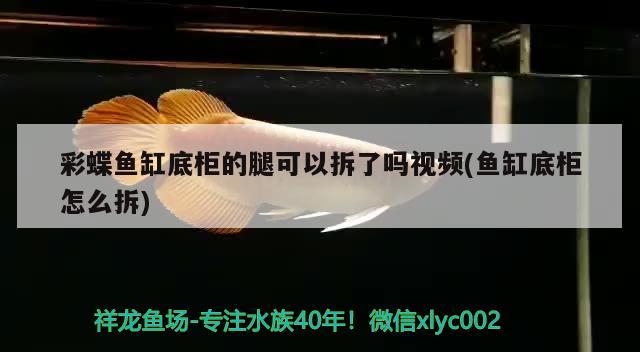 彩蝶魚缸底柜的腿可以拆了嗎視頻(魚缸底柜怎么拆) 龍魚百科