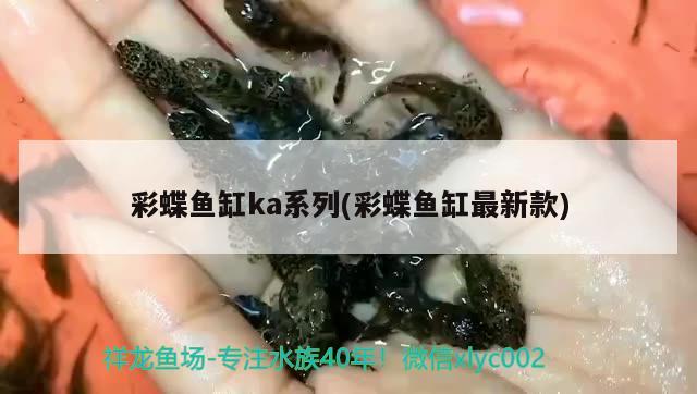 魚缸里擺件什么材質(zhì)的好用 魚缸里擺件什么材質(zhì)的好用一點 造景/裝飾 第2張