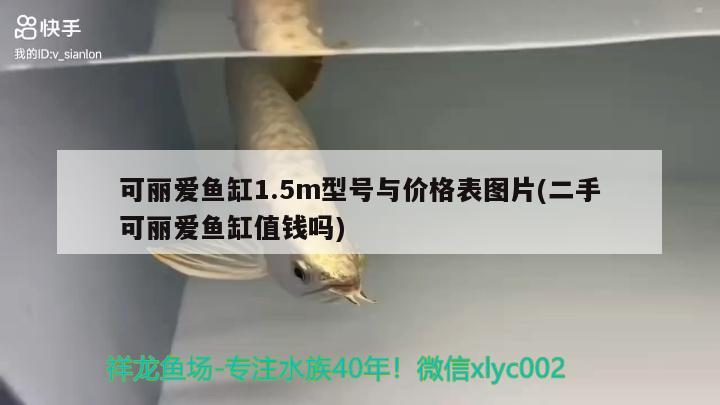 可麗愛魚缸1.5m型號與價格表圖片(二手可麗愛魚缸值錢嗎) 二氧化碳設(shè)備