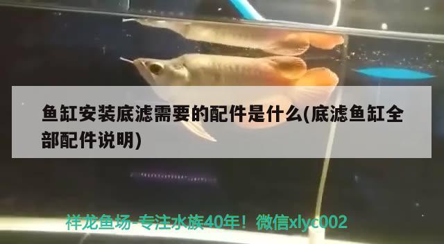 魚缸安裝底濾需要的配件是什么(底濾魚缸全部配件說明)