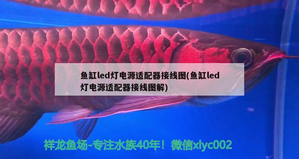 魚缸led燈電源適配器接線圖(魚缸led燈電源適配器接線圖解)