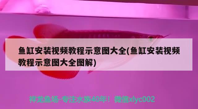 魚缸安裝視頻教程示意圖大全(魚缸安裝視頻教程示意圖大全圖解)