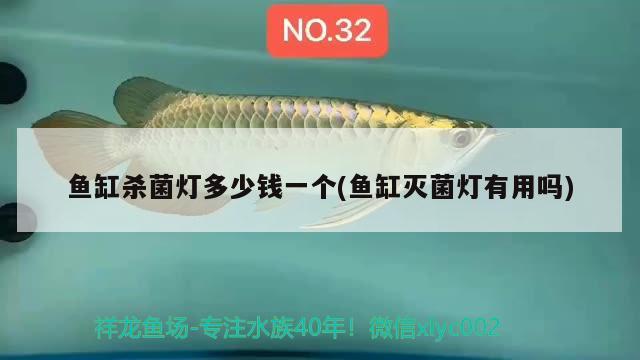 魚缸殺菌燈多少錢一個(魚缸滅菌燈有用嗎) 福魟魟魚