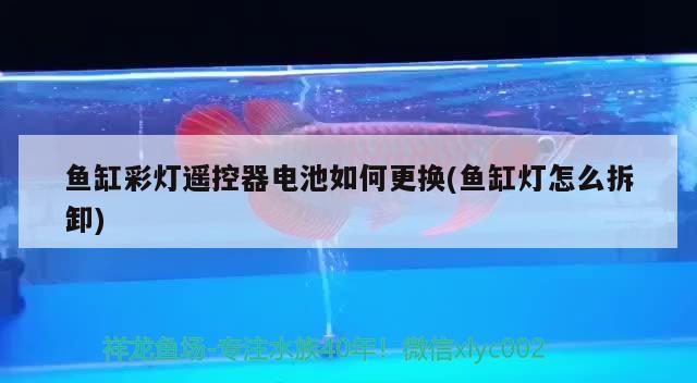 魚缸彩燈遙控器電池如何更換(魚缸燈怎么拆卸)