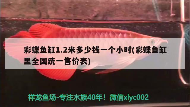 廣東野生雷龍魚品種大全圖片（雷龍魚哪種品種最好還便宜） 綠皮皇冠豹魚 第1張