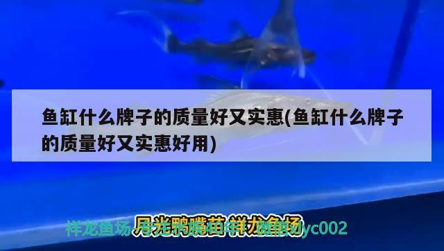 關于亞迪亞魚缸過濾，亞迪亞魚缸圖片和亞迪亞魚缸圖片和亞迪亞魚缸水泵對應的相關信息 魚缸水泵 第3張