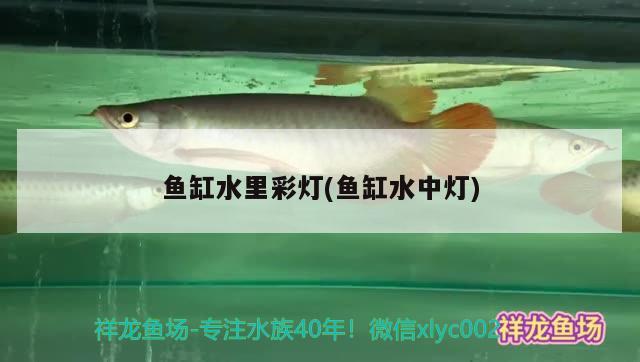 陽(yáng)臺(tái)玻璃魚缸制作方法視頻教程：陽(yáng)臺(tái)玻璃缸養(yǎng)魚