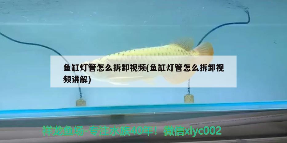 魚缸燈管怎么拆卸視頻(魚缸燈管怎么拆卸視頻講解)