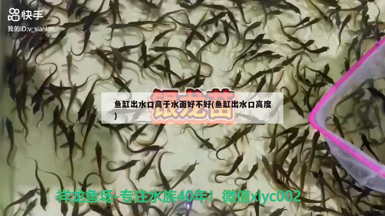 魚缸出水口高于水面好不好(魚缸出水口高度) 魚缸/水族箱