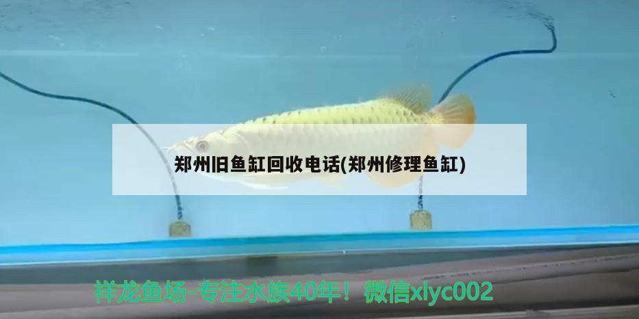 鄭州舊魚缸回收電話(鄭州修理魚缸)