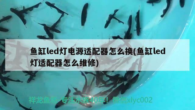 電視機改魚缸教程拆過程視頻 電視機改魚缸兩種方法