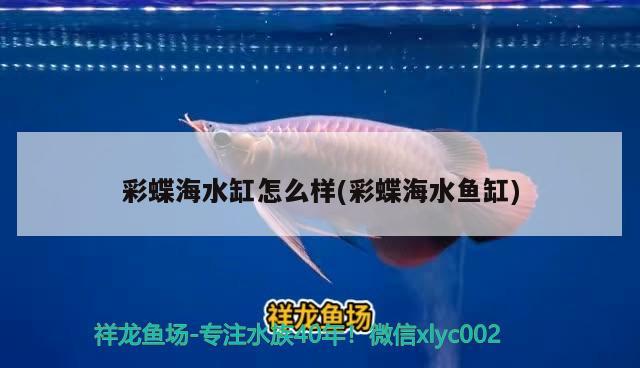 魚(yú)缸出水口改裝(魚(yú)缸出水口改裝方案) 翡翠鳳凰魚(yú)