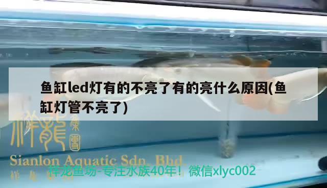 魚缸led燈有的不亮了有的亮什么原因(魚缸燈管不亮了) 鸚鵡魚