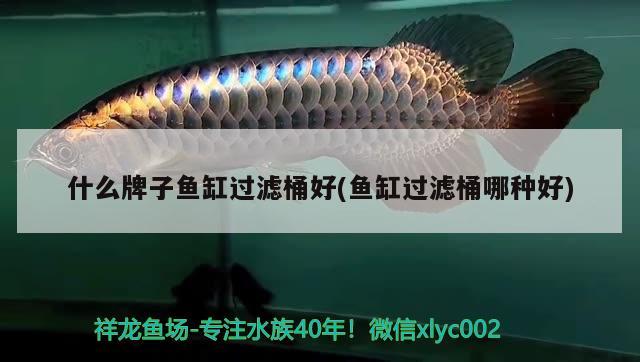 什么牌子魚缸過濾桶好(魚缸過濾桶哪種好)