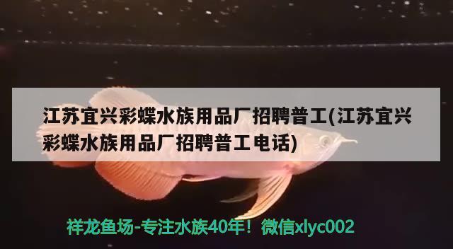 江蘇宜興彩蝶水族用品廠招聘普工(江蘇宜興彩蝶水族用品廠招聘普工電話)