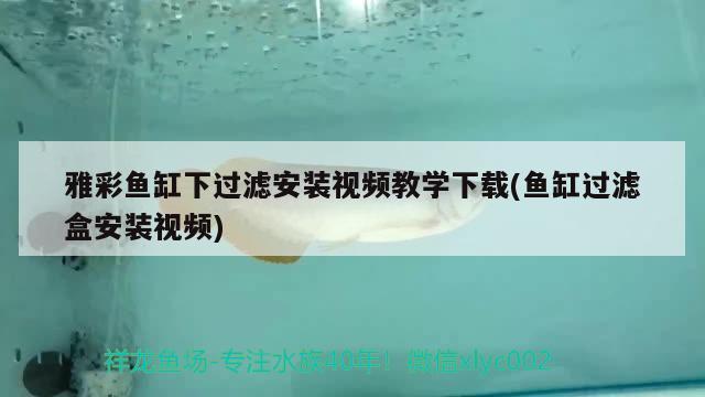 雅彩魚缸下過濾安裝視頻教學下載(魚缸過濾盒安裝視頻) 祥龍水族濾材/器材