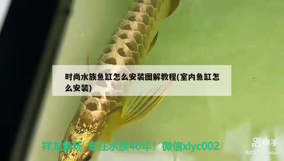 時尚水族魚缸怎么安裝圖解教程(室內(nèi)魚缸怎么安裝) 廣州水族器材濾材批發(fā)市場