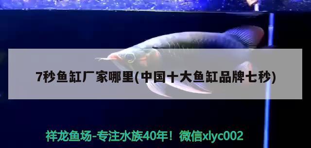 7秒魚缸廠家哪里(中國十大魚缸品牌七秒)