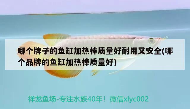 哪個牌子的魚缸加熱棒質(zhì)量好耐用又安全(哪個品牌的魚缸加熱棒質(zhì)量好)