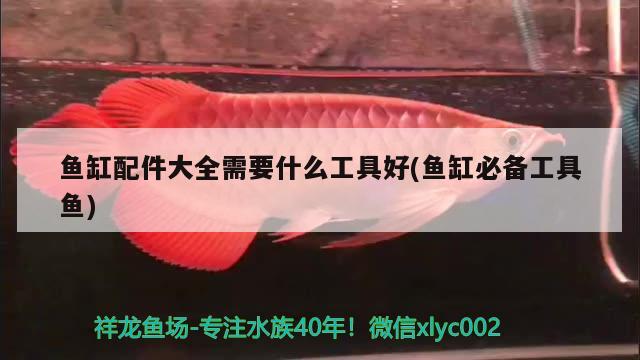 魚缸配件大全需要什么工具好(魚缸必備工具魚) 月光鴨嘴魚苗