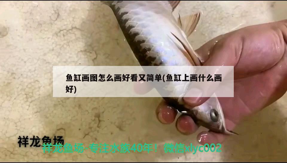 魚(yú)缸畫(huà)圖怎么畫(huà)好看又簡(jiǎn)單(魚(yú)缸上畫(huà)什么畫(huà)好)