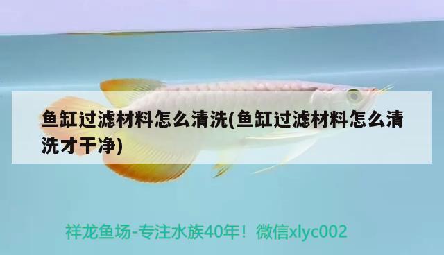 魚缸過濾材料怎么清洗(魚缸過濾材料怎么清洗才干凈)