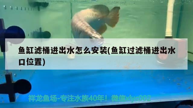 魚缸濾桶進(jìn)出水怎么安裝(魚缸過濾桶進(jìn)出水口位置) 白玉紅龍魚