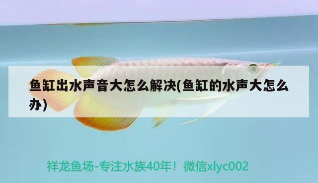 粘魚缸什么牌的玻璃膠好(粘魚缸什么牌的玻璃膠好一點(diǎn)) 孵化器